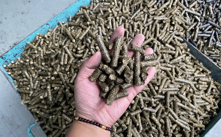 貴州省習水縣桃林鎮：燃料化利用，讓秸稈變廢為寶
